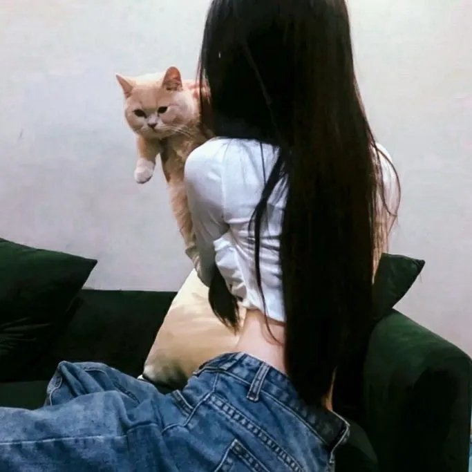 红杏出墙